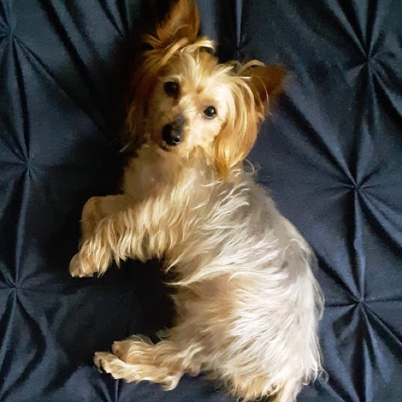 Meet your Posher, Brenda - Picture 1 of 1